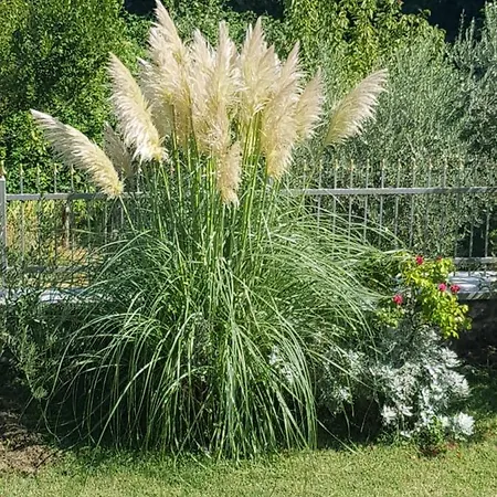 Apartment Adria Opatija